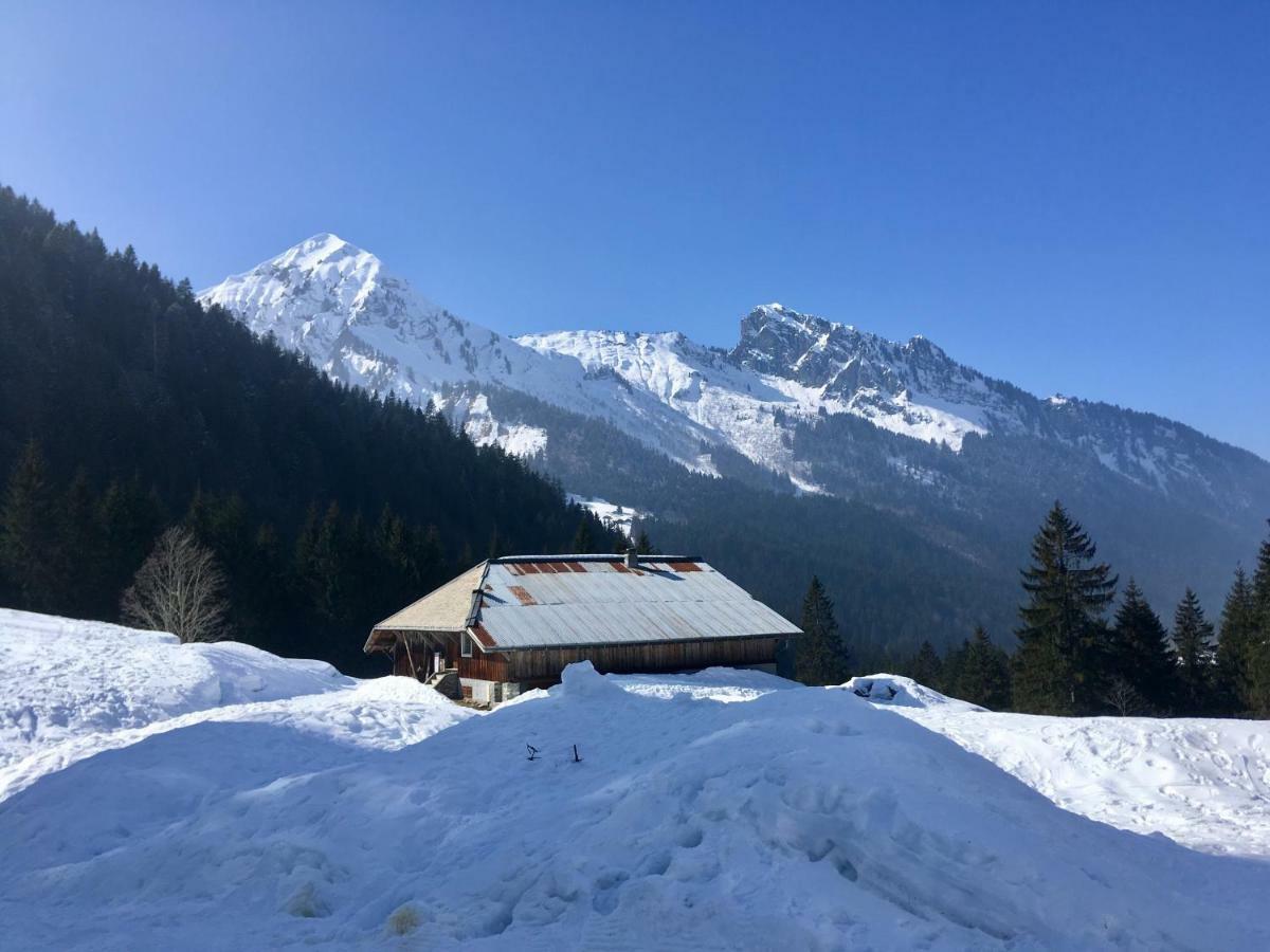 Chalet Marmotte 2 Морзін Екстер'єр фото