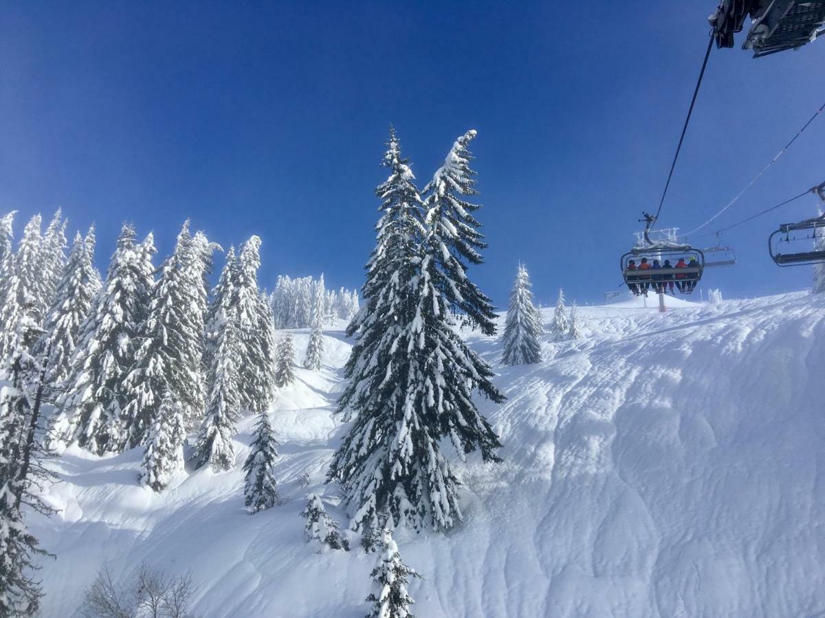 Chalet Marmotte 2 Морзін Екстер'єр фото