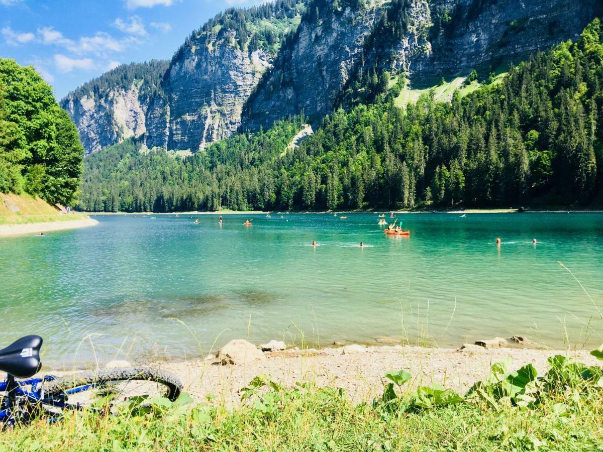 Chalet Marmotte 2 Морзін Екстер'єр фото