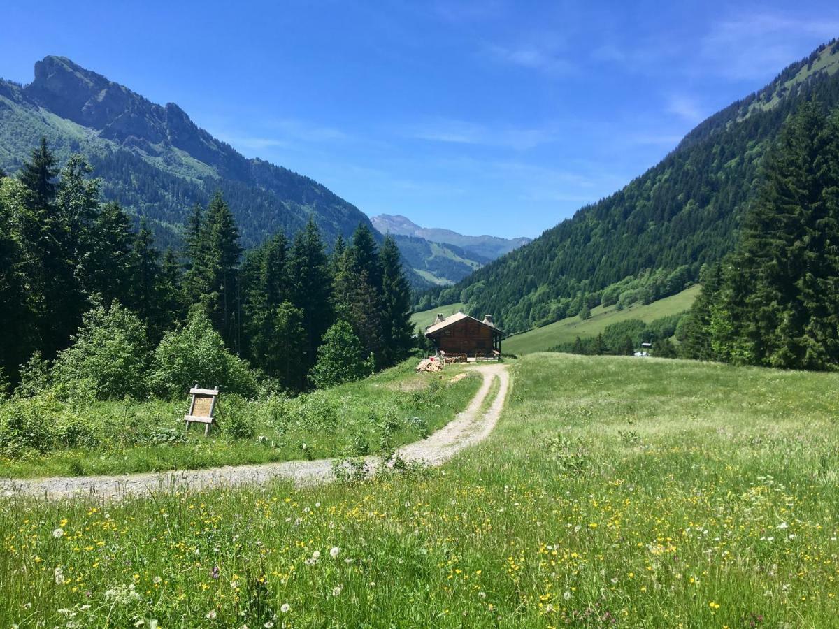 Chalet Marmotte 2 Морзін Екстер'єр фото