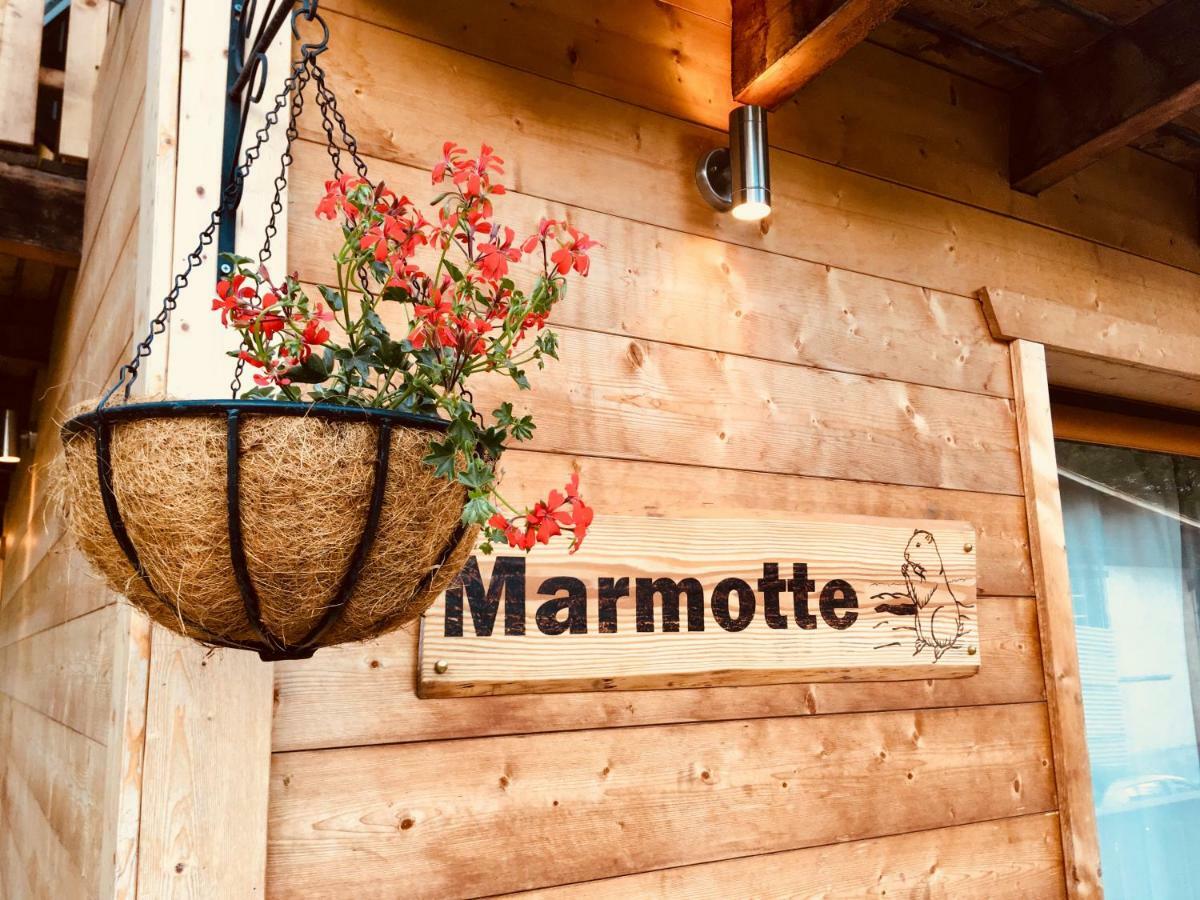 Chalet Marmotte 2 Морзін Екстер'єр фото
